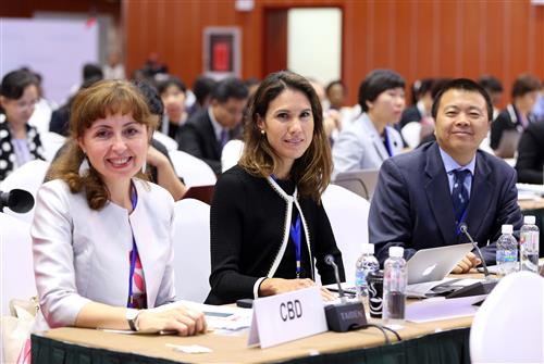 UNCCD COP 13 - Ordos, Inner Mongolia, China IISD/ENB