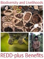 Biodiversity and Livelihoods: REDD-plus Benefits