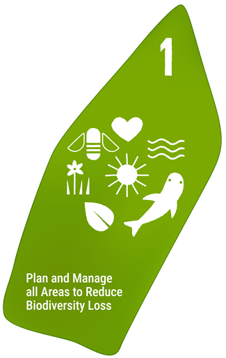 Plan and Manage all Areas To Reduce Biodiversity Loss