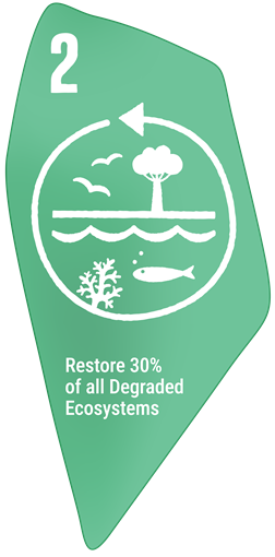 Restore 30% of all Degraded Ecosystems