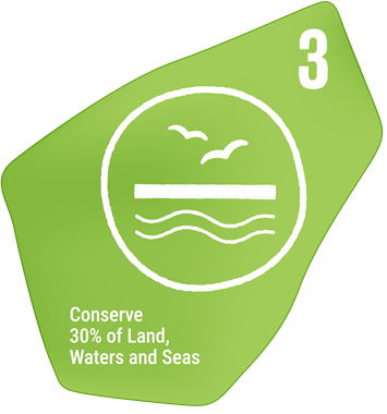 Conserve 30% of Land, Waters and Seas