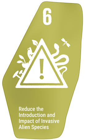 Reduce the Introduction of Invasive Alien Species by 50% and Minimize Their Impact