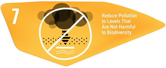 Reduce Pollution to Levels That Are Not Harmful to Biodiversity