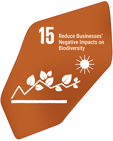 Businesses Assess, Disclose and Reduce Biodiversity-Related Risks and Negative Impacts