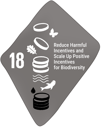 Reduce Harmful Incentives by at Least $500 Billion per Year, and Scale Up Positive Incentives for Biodiversity