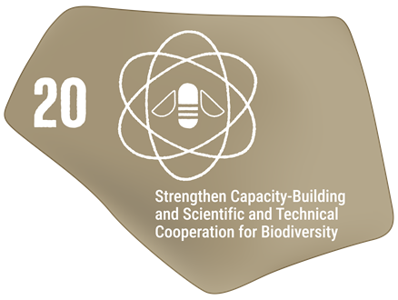 Strengthen Capacity-Building, Technology Transfer, and Scientific and Technical Cooperation for Biodiversity