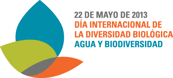 IDB2013-logo-es