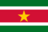 Suriname: View the country profile