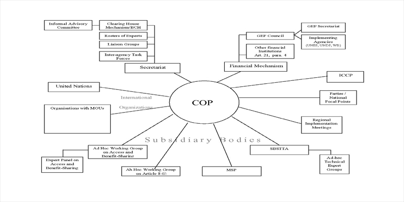 Institutions of the Convention