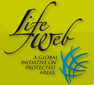 LifeWeb