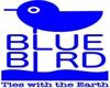 BLUE BIRD