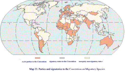 Map 23