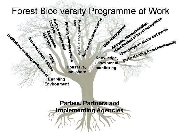 Programme of Work