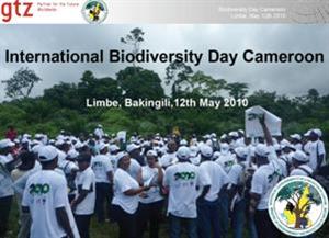 International Day of Biodiversity 2010, in Bakingili, Cameroon