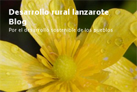 Desarrollo rural lanzarote Blog