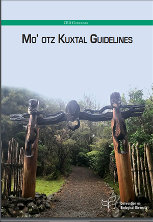 https://www.cbd.int/doc/publications/8j-cbd-mootz-kuxtal-en.pdf