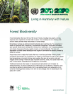 Forest Biodiversity