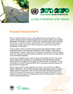 Impact Assessment